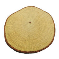 Holzscheibe  roh, ~ 40 - 60 mm 10 St&uuml;ck