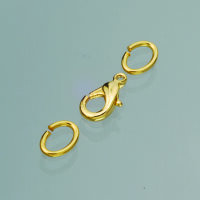 Karabiner, mit &Ouml;sen, goldfarbig, 2 St.