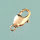 Karabiner, drehbar  goldfarbig