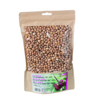 Kirschkerne Ideal als F&uuml;llmaterial / DOY natur 500 g