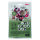 LITTLE NIO&reg; NIL004, Weihnachtsstempel  12 - teilig