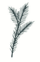 May&Berry Stempel Tannenzweig wei&szlig;