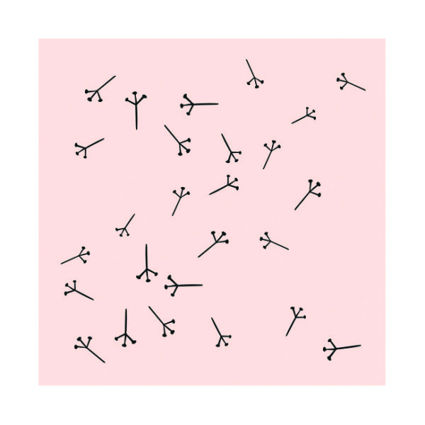 May&Berry Stempel Pusteblume nude