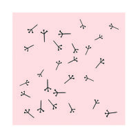 May&Berry Stempel Pusteblume nude