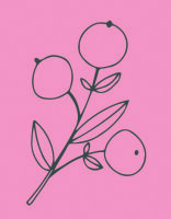 May&Berry Stempel Beerenzweig rosa