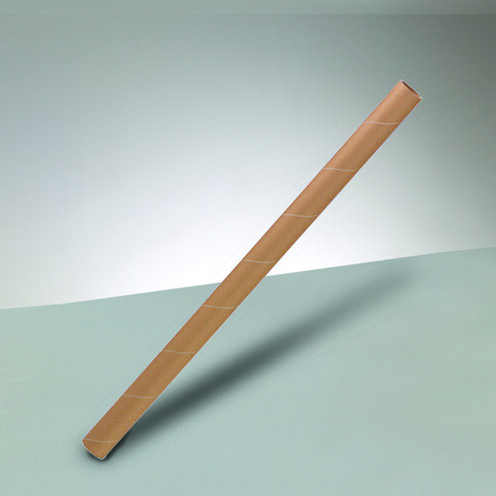 Papprohr
