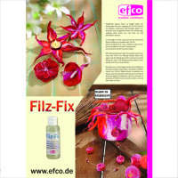 Plakat, Filz-Fix