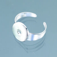 Ringschiene mit Platine  silberfarbig, 1 Stk.