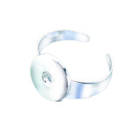 Ringschiene mit Platine  silberfarbig, 1 Stk.
