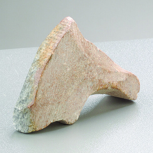 Speckstein Rohling, Delfin