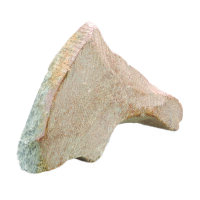 Speckstein Rohling, Delfin