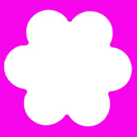 Stanzer L Blume