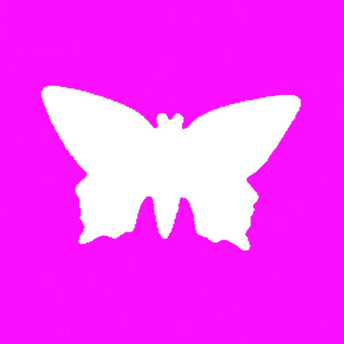 Stanzer M Schmetterling