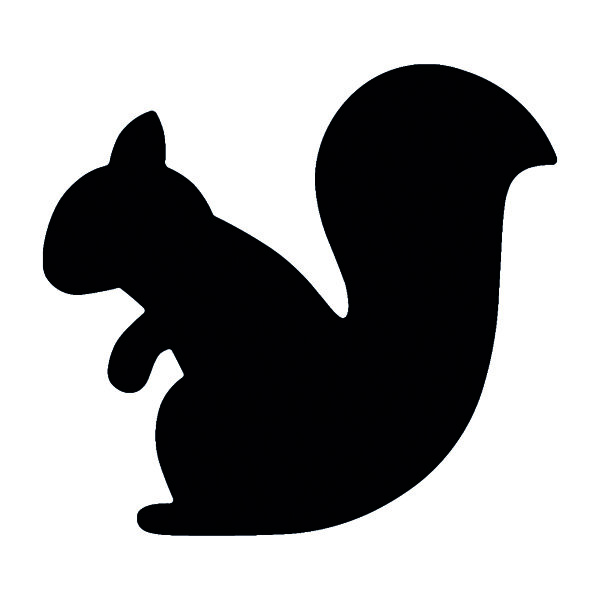 Stanzer M Eichh&ouml;rnchen