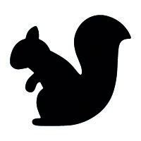 Stanzer M Eichh&ouml;rnchen