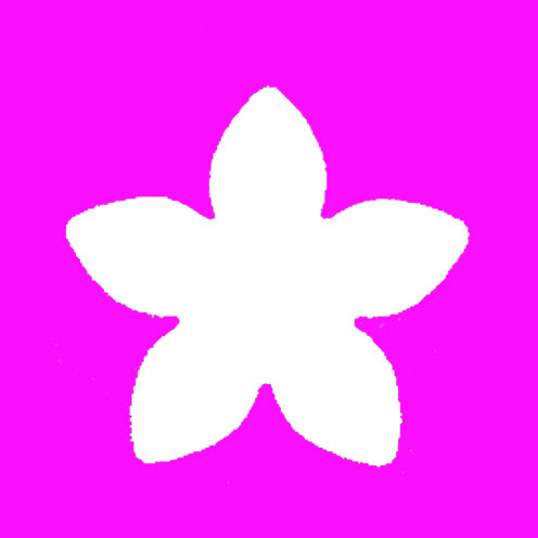 Stanzer S Bl&uuml;te
