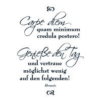 Stempel Clear, Carpe diem, transparent, 1 - teilig