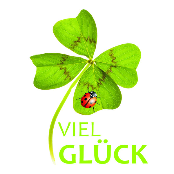 Wachsdekor VIEL GL&Uuml;CK bunt 1 Stk.