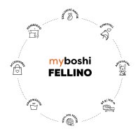 myboshi Fellino- VE 5 Kn&auml;uel Ao