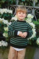 Sandnes Garn Einzelanleitung 2408 Nr. 3 Sout Sweater...