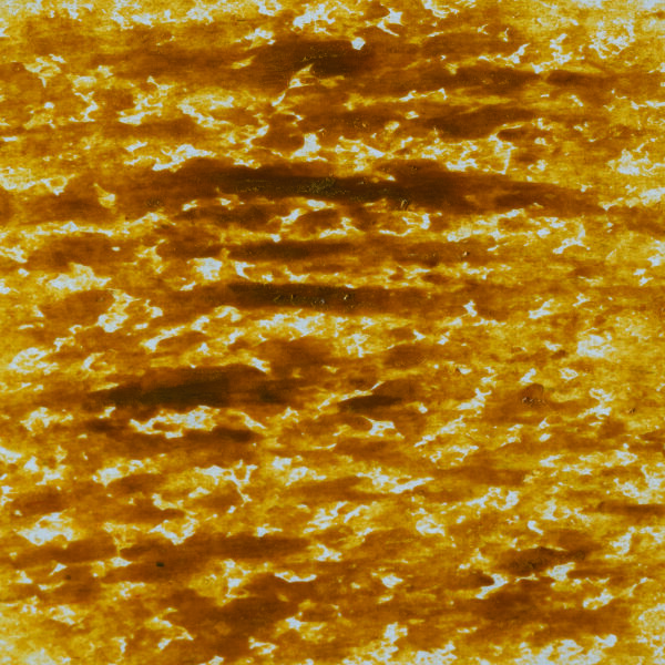 Farbpigment-St&auml;bchen f&uuml;r Wachs naturgelb 2 Stk.