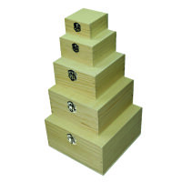 Holzkiste Set  roh 5 - teilig